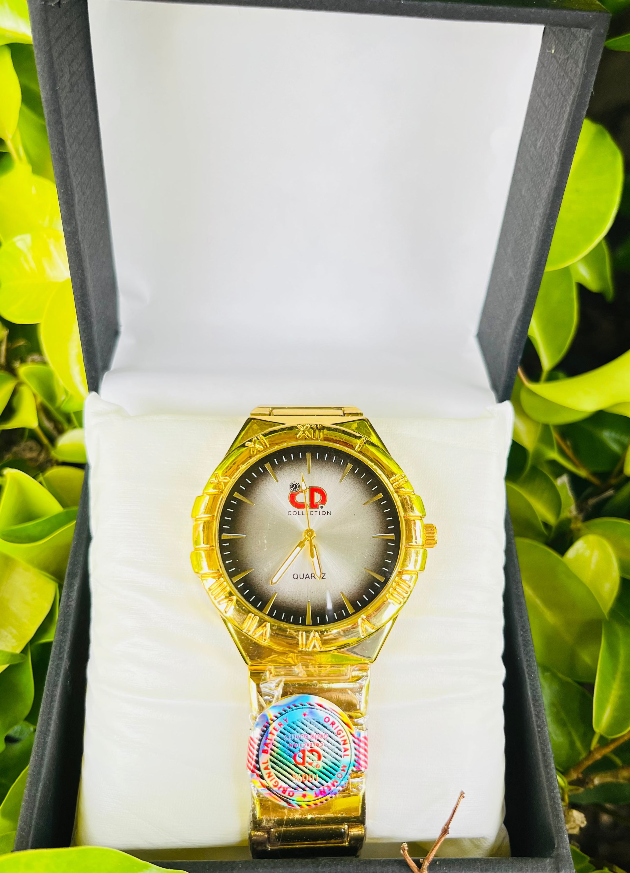 CD-Collection  Elegant Couple’s Watch Set