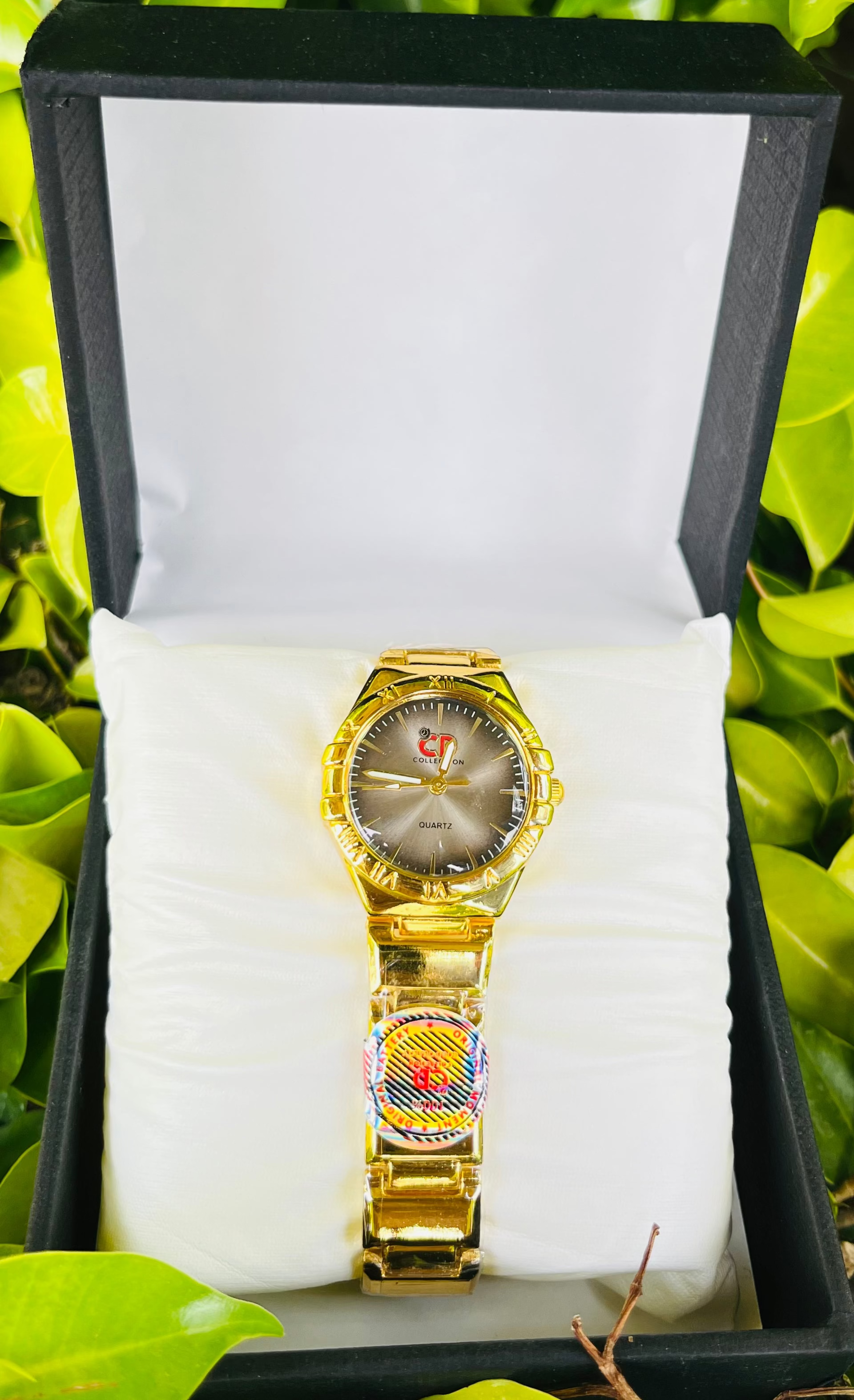 CD-Collection  Elegant Couple’s Watch Set