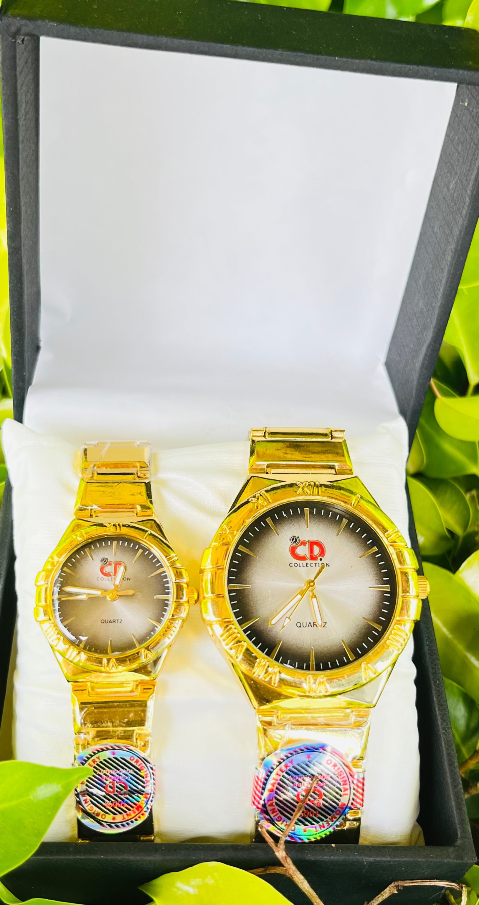 CD-Collection  Elegant Couple’s Watch Set