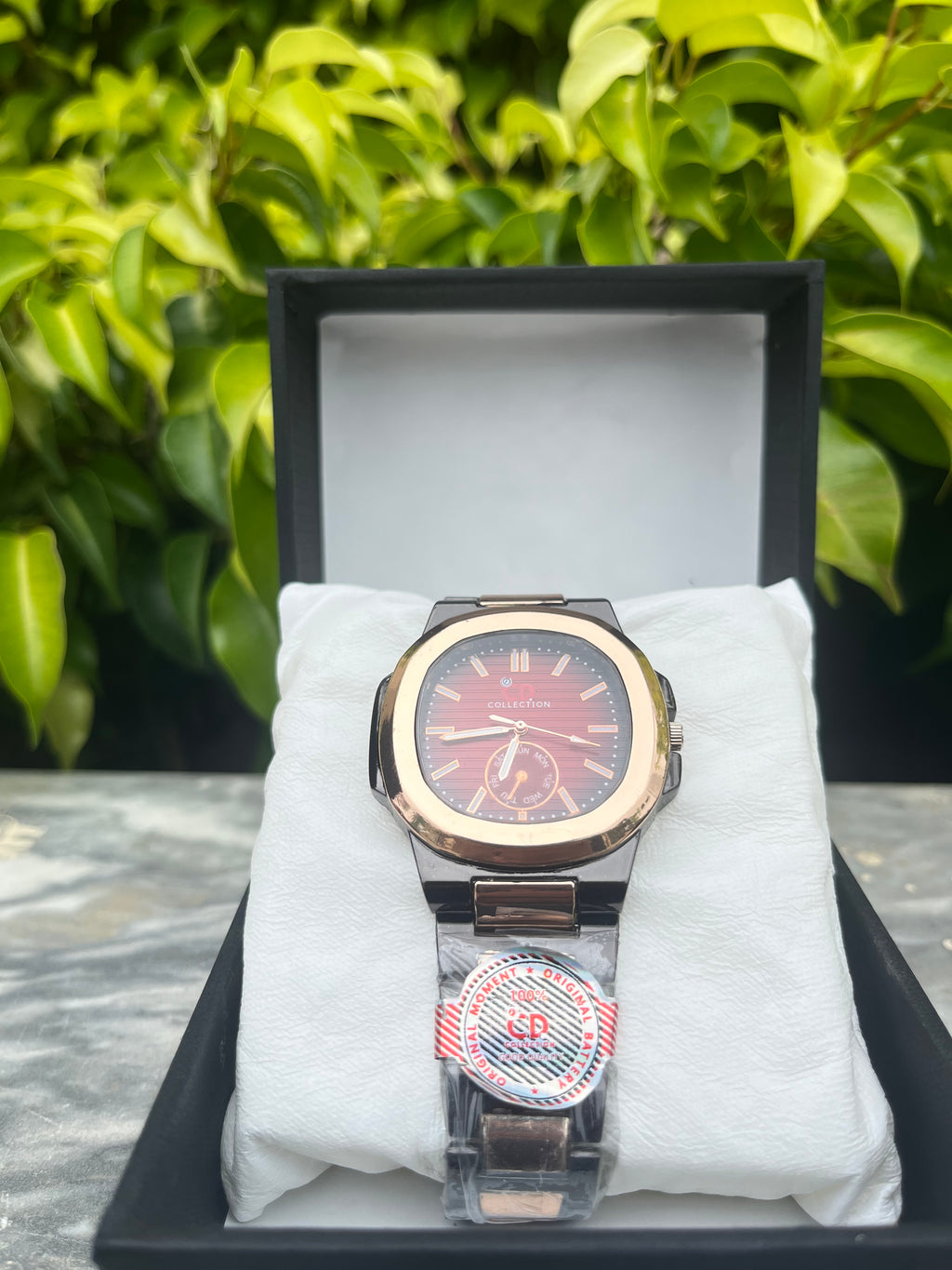 CD-Collection Luxury Watch with Chronograph Function