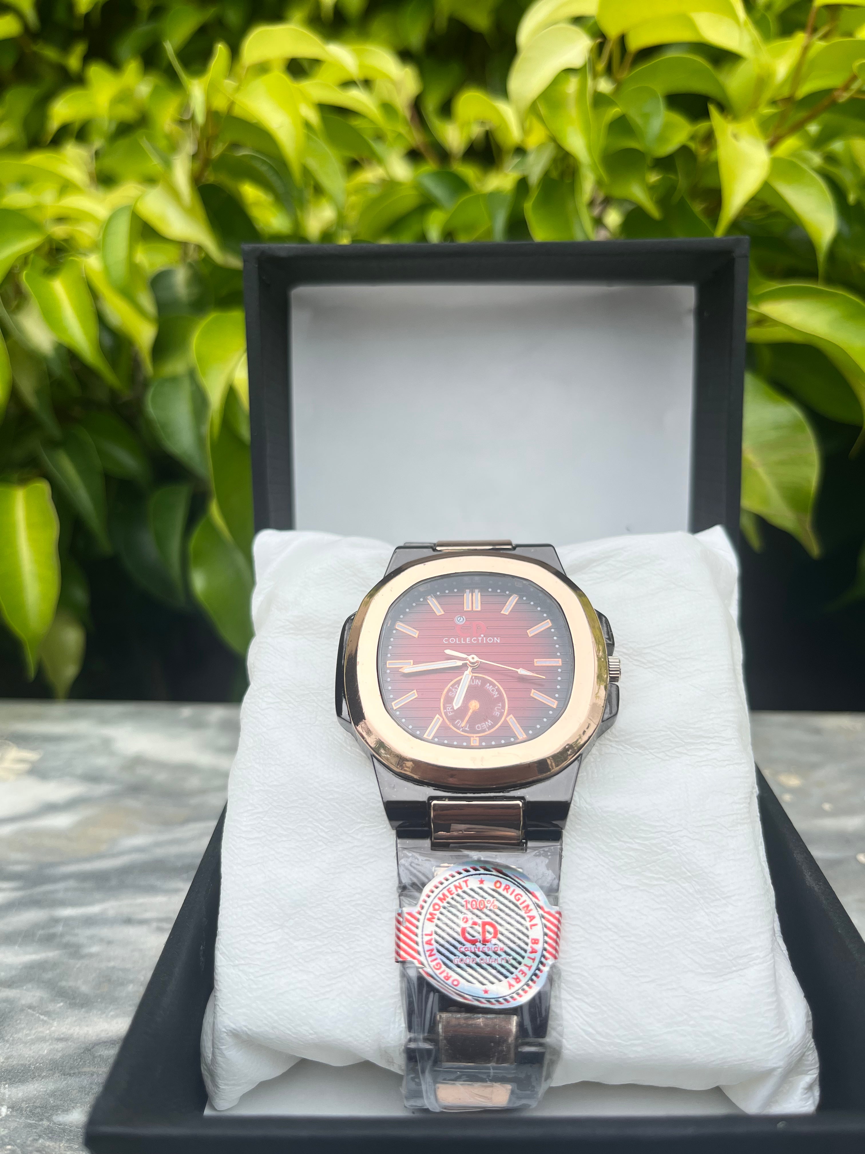 CD-Collection Luxury Watch with Chronograph Function