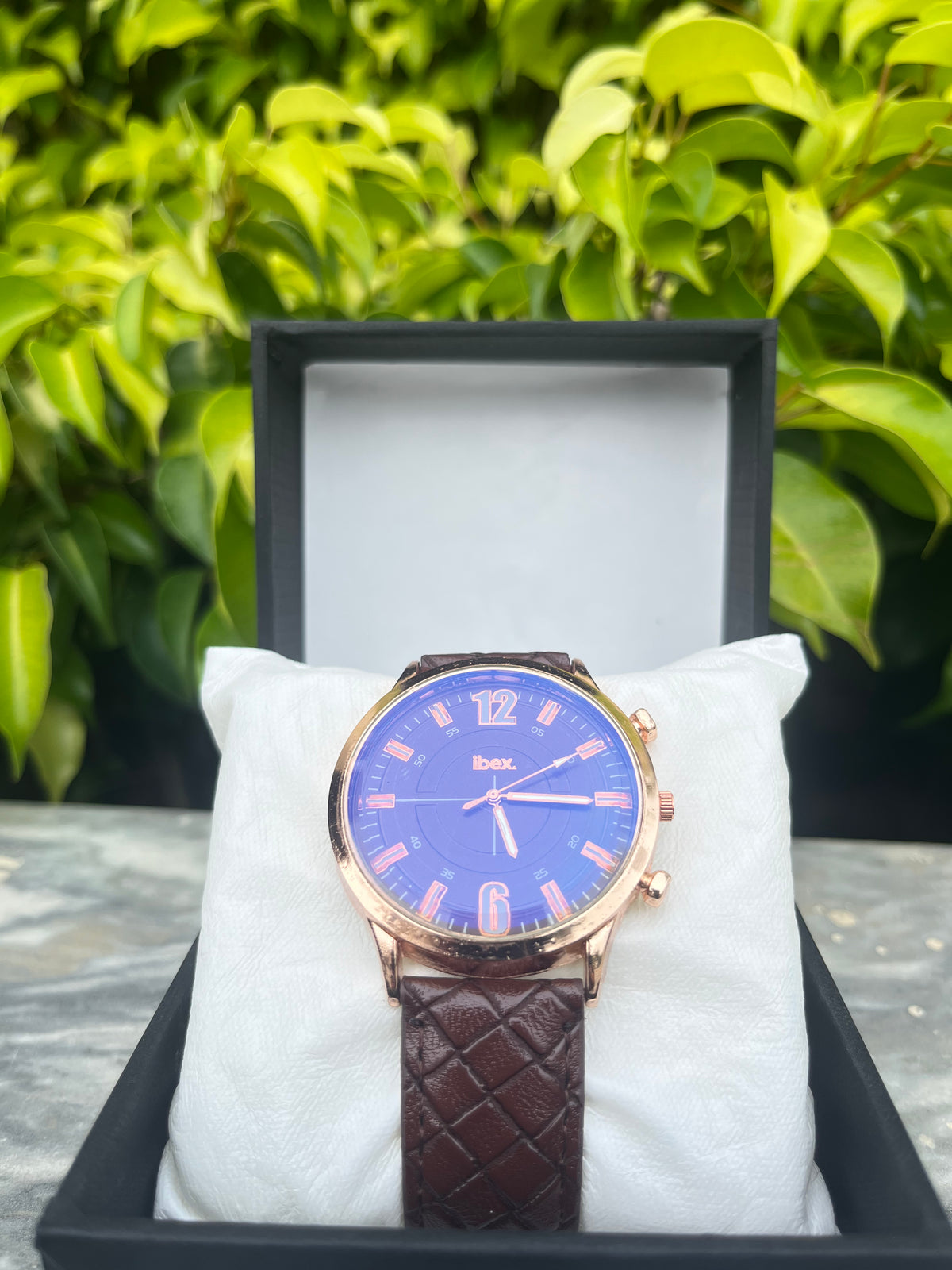 Ibex-Classic Brown Leather Strap Watch